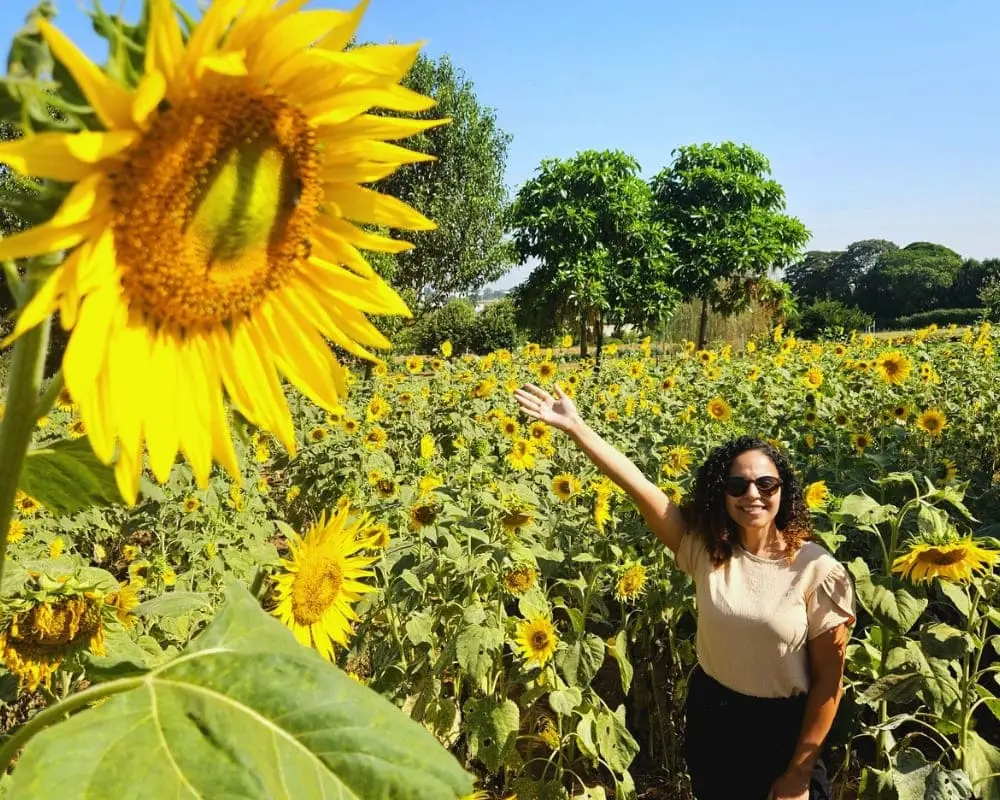 Para onde viajar em Maio no Brasil : 10 Melhores Destinos