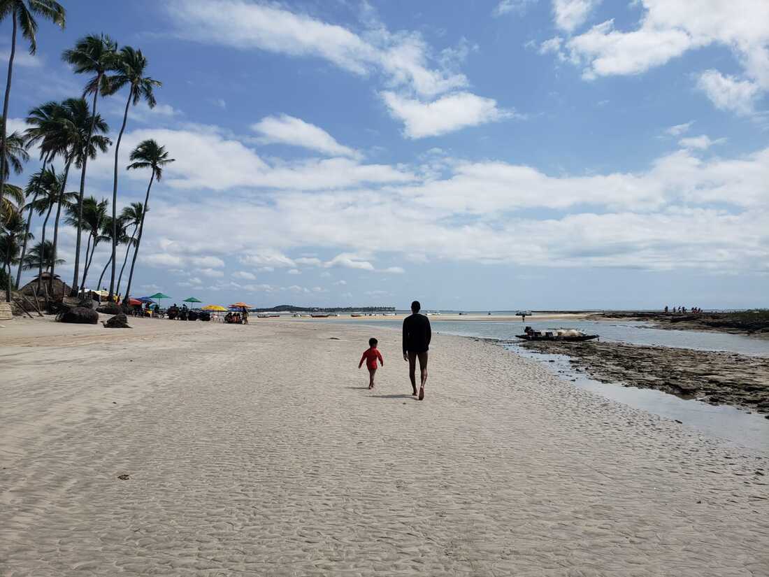Melhores praias para ir com crianças no Brasil, indicação da praia dos Carneiros em Pernambuco
