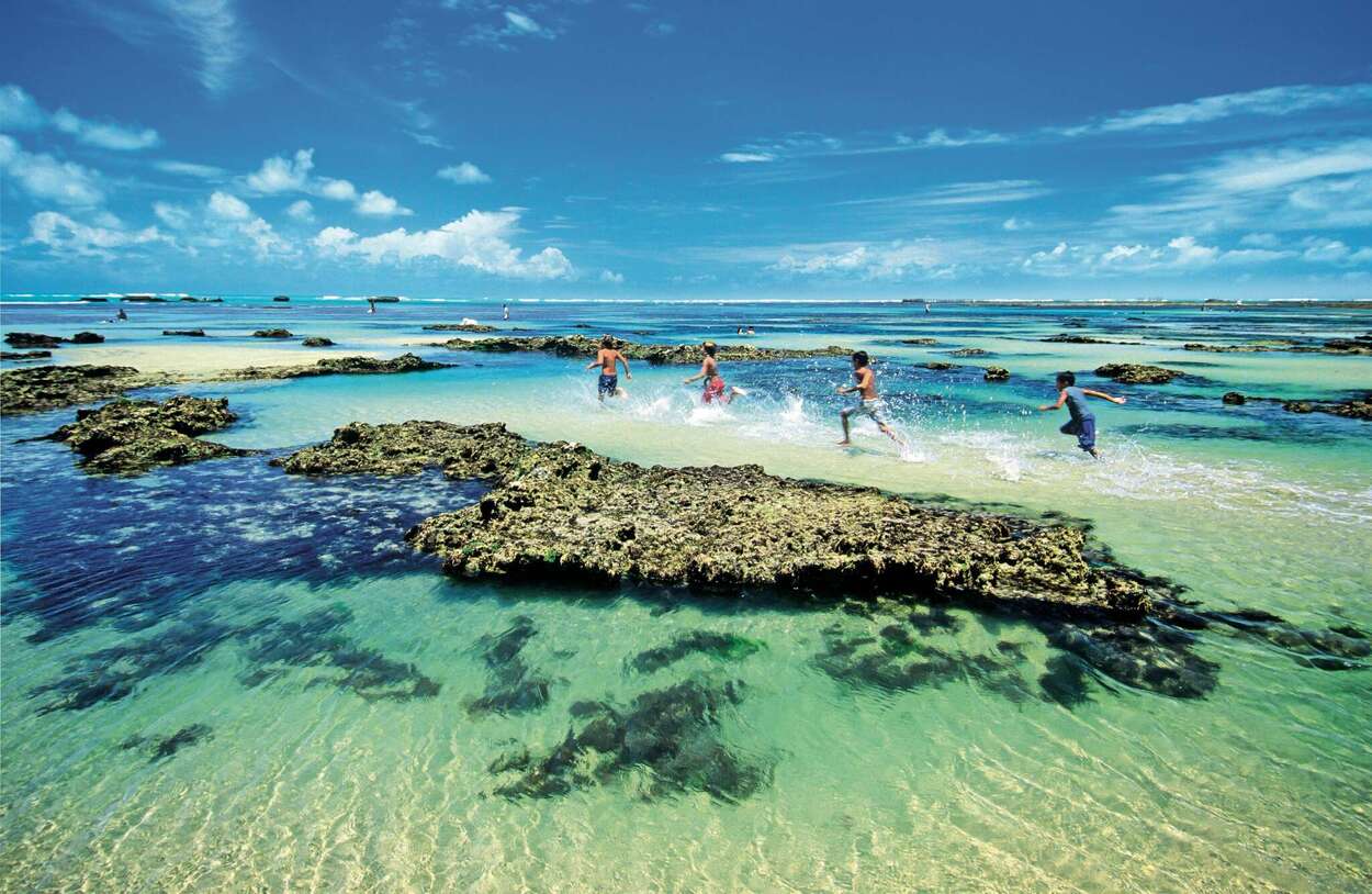 nordeste em julho, flecheiras no ceara