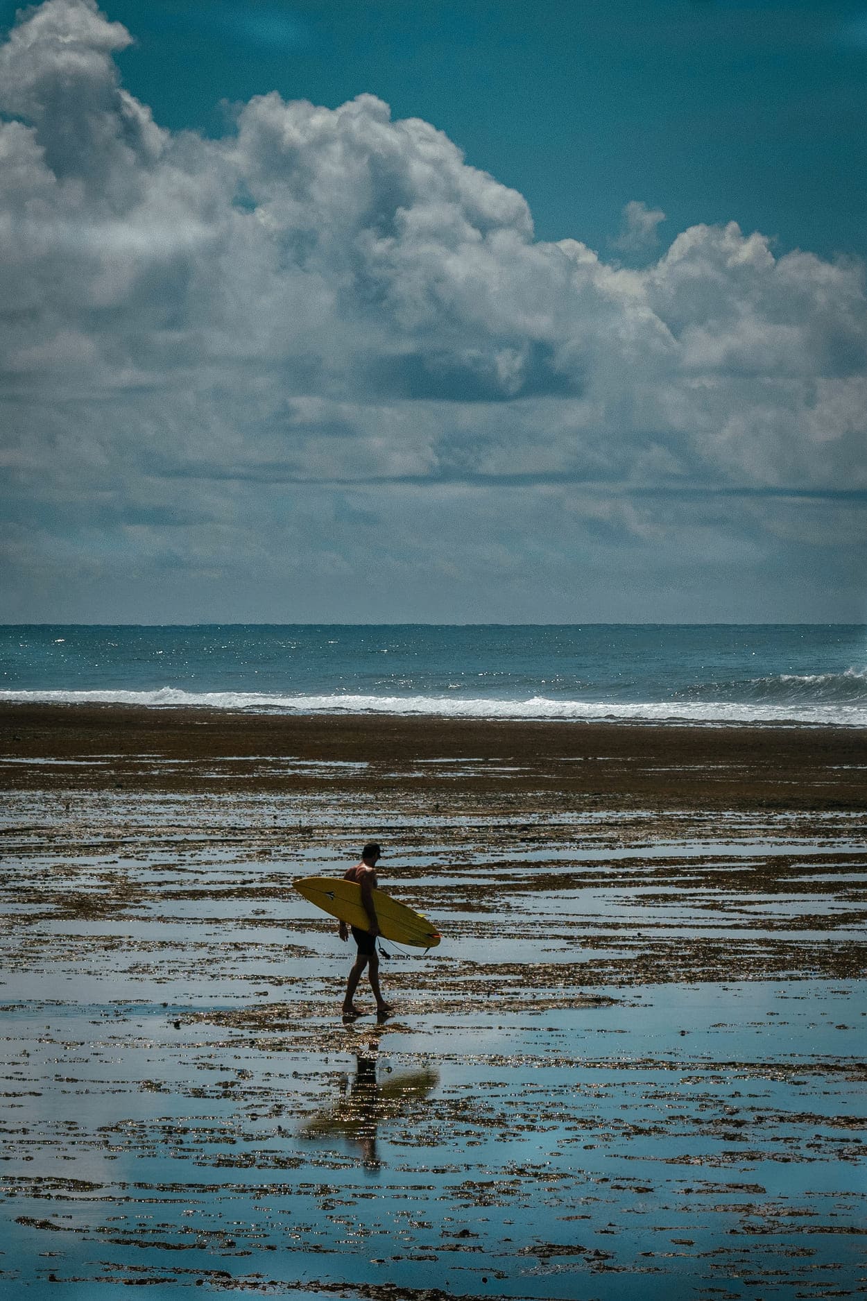 Nordeste em julho, praia do forte na bahia